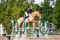 W/SJ - Ring 2 - Sun - 32a/b - 1.10m Open/Amateur - 11.08.2024