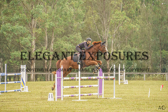 _AJG6919 (1)