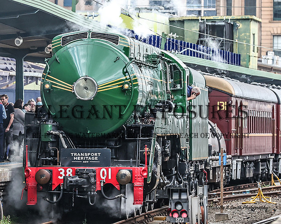3801 Transport Heritage Expo - MAS_2588