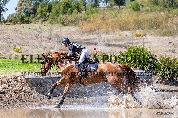 OLS_1201