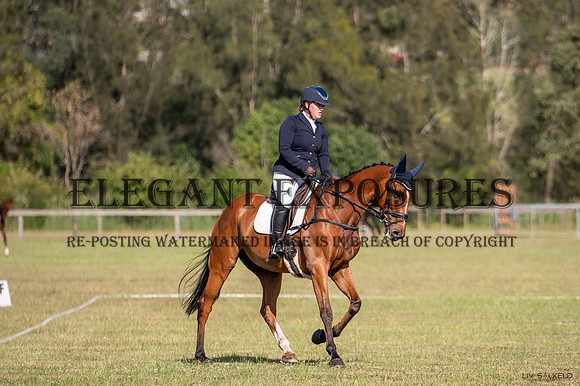 OLS_1157