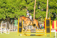 _AJG6544