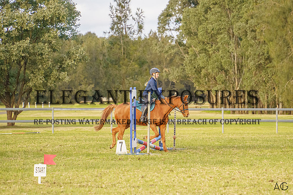 _AJG8274