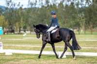 OLS_2460