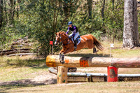 OLS_4429