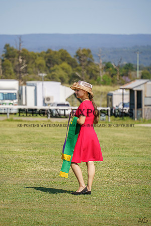 _AJG2119