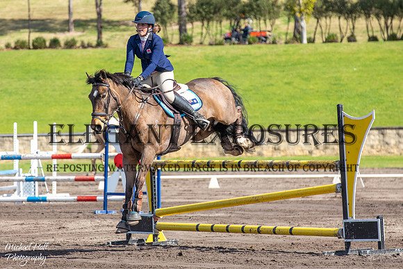 _MHP1761