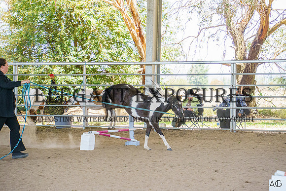 _AJG4813