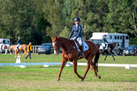 OLS_2476