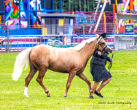 MAS_4658