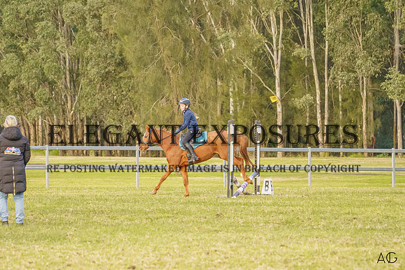_AJG8301