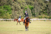 OLS_1022