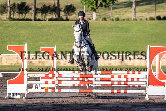 OLS_2556
