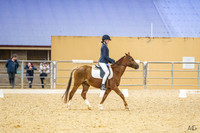 CPEC - Dressage - Riding School Arena - 04.07.2025