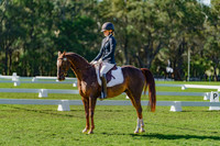 SM-DSC01619