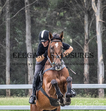 KMS-9677