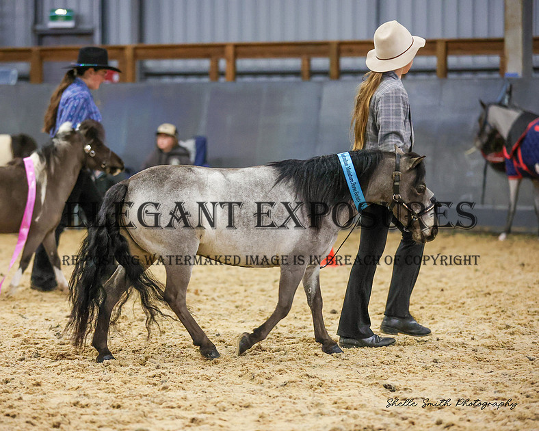 Elegant Exposures | AMHS - Winter - Classes 1-19 30.06.2024