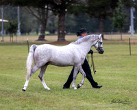 MKG_9671