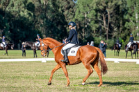 OLS_2664