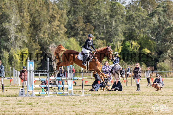 HM_6520