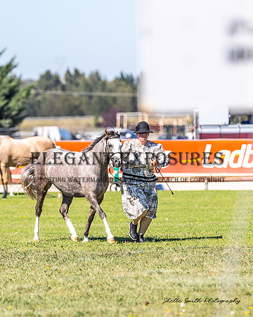 MAS_7494