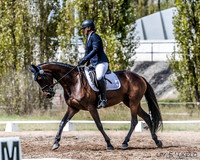 OLS_0238