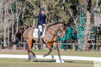 KAT-9781