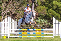 KMS- BRC- Clear round jumping- 24.08.2024