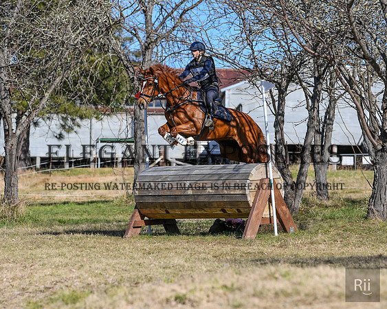 RII_1840