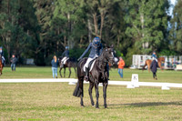 OLS_2474