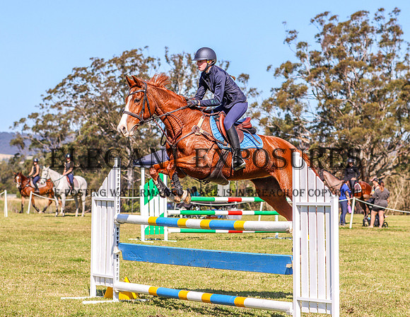 KMS-7577