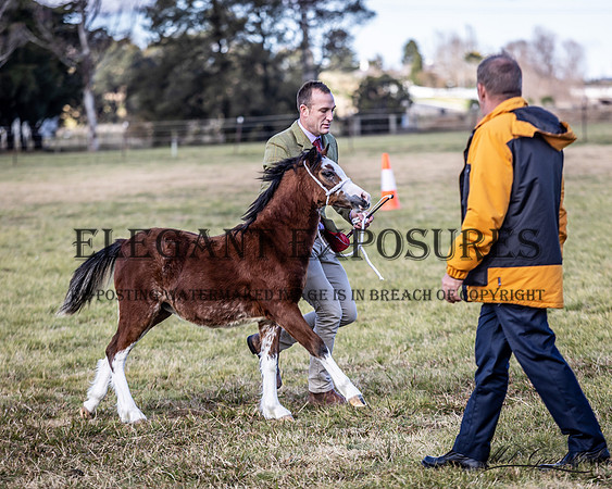 MKG_0625