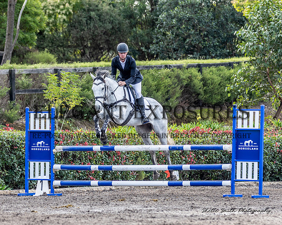 MAS-0248
