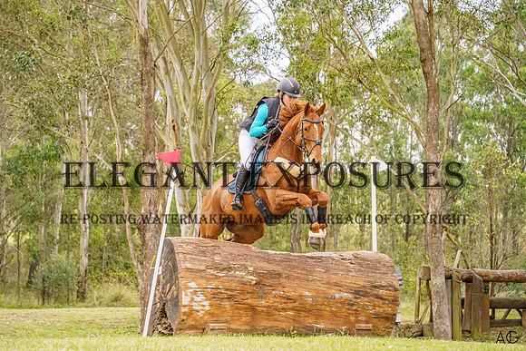_AJG9915