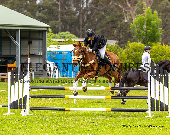 MAS_1909