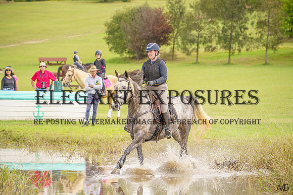 _AJG4670