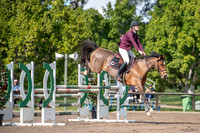 OLS_9395