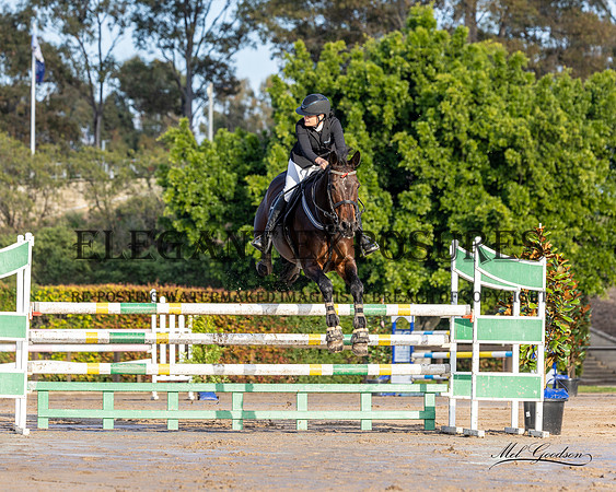 MKGX6606