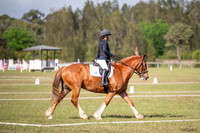 OLS_1194