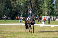 OLS_2473