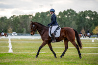 OLS_2349