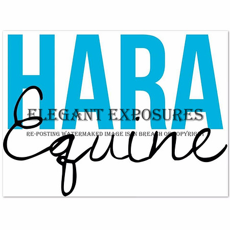 HARA Equine