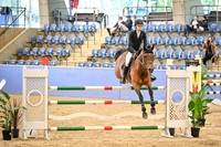 OLS_7793