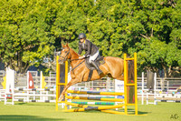 _AJG6561