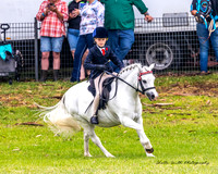 MVS - Show Horses - Ring 1 - 21.03.2025