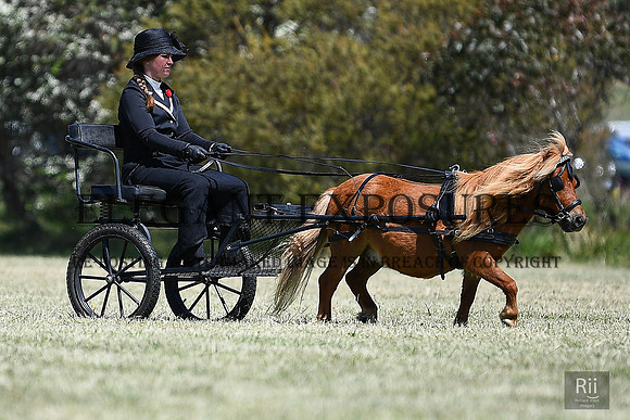 RII_0440