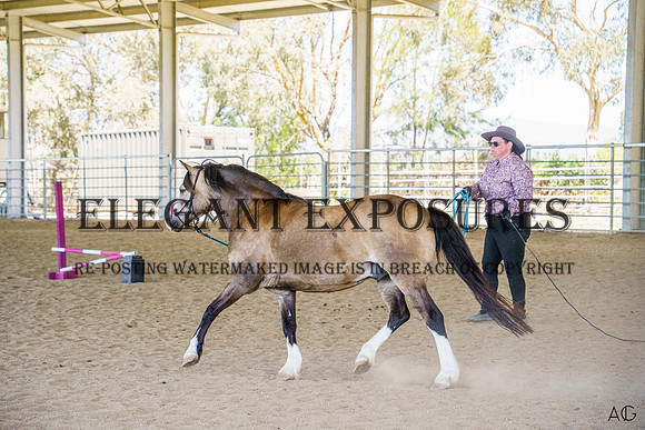 _AJG4870