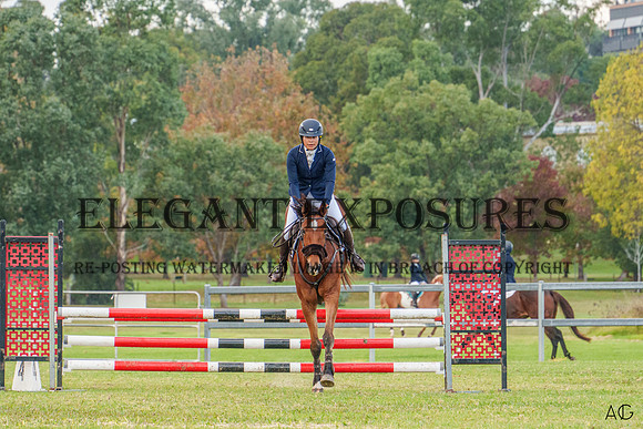 _AJG2194
