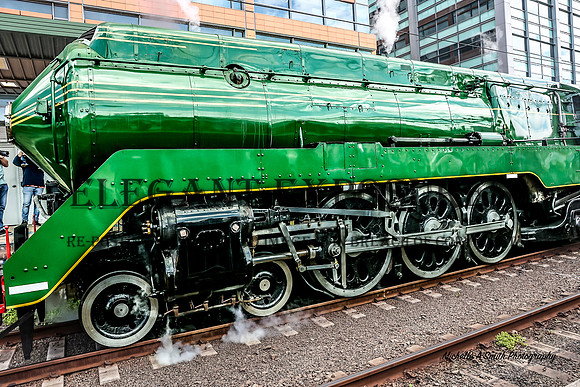 3801 Transport Heritage Expo - MAS_2828