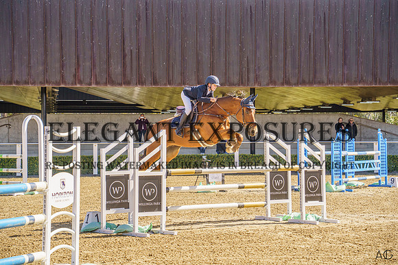 _AJG2003